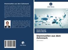 Bookcover of Stammzellen aus dem Zahnmark