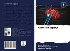 Анатомия сердца的封面