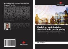 Modeling and decision simulation in public policy的封面