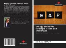 Energy equation: strategic issues and challenges的封面