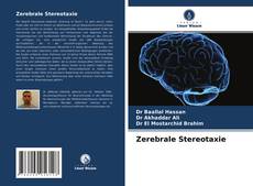 Couverture de Zerebrale Stereotaxie
