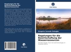 Copertina di Regelungen für die Bewirtschaftung der Wasserressourcen