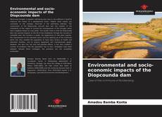 Environmental and socio-economic impacts of the Diopcounda dam的封面