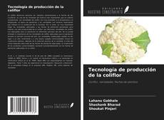 Buchcover von Tecnología de producción de la coliflor