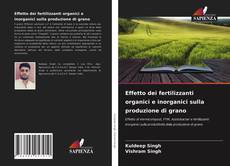 Copertina di Effetto dei fertilizzanti organici e inorganici sulla produzione di grano