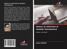 MODULI DI APERTURA IN SEZIONE TRASVERSALE的封面