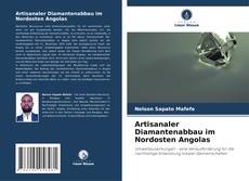 Artisanaler Diamantenabbau im Nordosten Angolas kitap kapağı