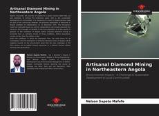 Artisanal Diamond Mining in Northeastern Angola的封面