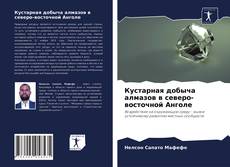 Capa do livro de Кустарная добыча алмазов в северо-восточной Анголе 
