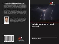 L'elettrostatica e i suoi pericoli的封面