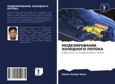 МОДЕЛИРОВАНИЕ ХОЛОДНОГО ПОТОКА的封面