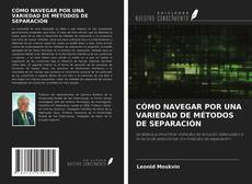 Buchcover von CÓMO NAVEGAR POR UNA VARIEDAD DE MÉTODOS DE SEPARACIÓN