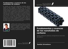 Fundamentos y avances de los nanotubos de carbono kitap kapağı