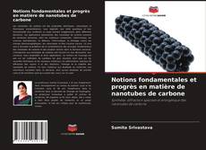 Borítókép a  Notions fondamentales et progrès en matière de nanotubes de carbone - hoz
