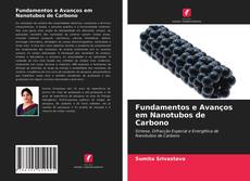 Fundamentos e Avanços em Nanotubos de Carbono kitap kapağı