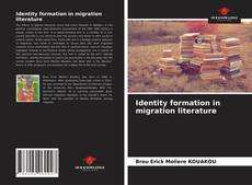 Identity formation in migration literature的封面