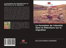 La formation de l'identité dans la littérature sur la migration的封面