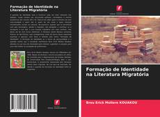 Formação de Identidade na Literatura Migratória kitap kapağı