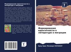 Buchcover von Формирование идентичности в литературе о миграции