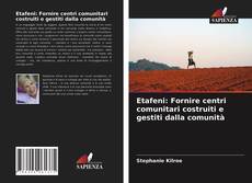 Copertina di Etafeni: Fornire centri comunitari costruiti e gestiti dalla comunità