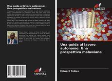 Una guida al lavoro autonomo: Una prospettiva malawiana的封面