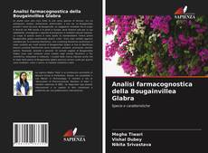 Copertina di Analisi farmacognostica della Bougainvillea Glabra