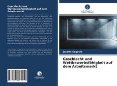 Geschlecht und Wettbewerbsfähigkeit auf dem Arbeitsmarkt的封面