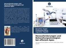 Herausforderungen und Behandlungsstrategien bei offenem Apex的封面