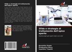 Copertina di Sfide e strategie di trattamento dell'apice aperto