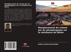 Обложка Remplacement du ciment par du phosphogypse sur la résistance du béton