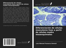 Bookcover of Diferenciación de células musculares lisas a partir de células madre mesenquimales