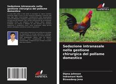 Copertina di Sedazione intranasale nella gestione chirurgica del pollame domestico