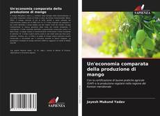 Un'economia comparata della produzione di mango的封面