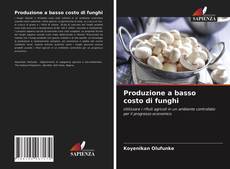 Capa do livro de Produzione a basso costo di funghi 