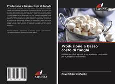 Produzione a basso costo di funghi的封面