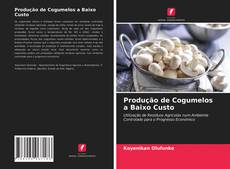 Capa do livro de Produção de Cogumelos a Baixo Custo 