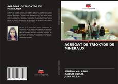 Copertina di AGRÉGAT DE TRIOXYDE DE MINÉRAUX