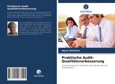 Praktische Audit-Qualitätsverbesserung kitap kapağı