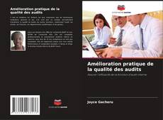 Amélioration pratique de la qualité des audits kitap kapağı