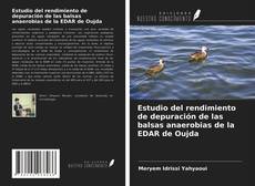 Buchcover von Estudio del rendimiento de depuración de las balsas anaerobias de la EDAR de Oujda