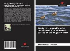 Study of the purification performance of anaerobic basins at the Oujda WWTP的封面