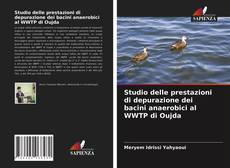 Copertina di Studio delle prestazioni di depurazione dei bacini anaerobici al WWTP di Oujda