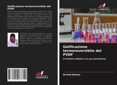 Gelificazione termoreversibile del PVDF的封面