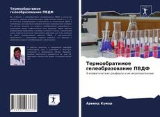 Portada del libro de Термообратимое гелеобразование ПВДФ