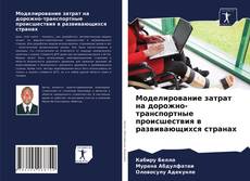 Buchcover von Моделирование затрат на дорожно-транспортные происшествия в развивающихся странах