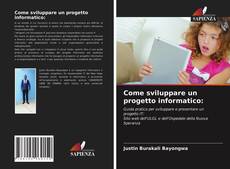 Come sviluppare un progetto informatico:的封面