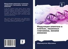 Buchcover von Модуляция апоптоза в клетках, лишенных глютамина, ионами аммония