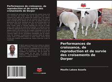 Couverture de Performances de croissance, de reproduction et de survie des croisements de Dorper