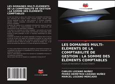 LES DOMAINES MULTI-ÉLÉMENTS DE LA COMPTABILITÉ DE GESTION : LA SOMME DES ÉLÉMENTS COMPTABLES的封面