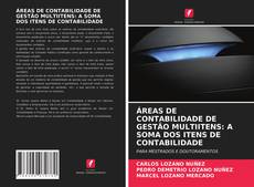 Copertina di ÁREAS DE CONTABILIDADE DE GESTÃO MULTIITENS: A SOMA DOS ITENS DE CONTABILIDADE